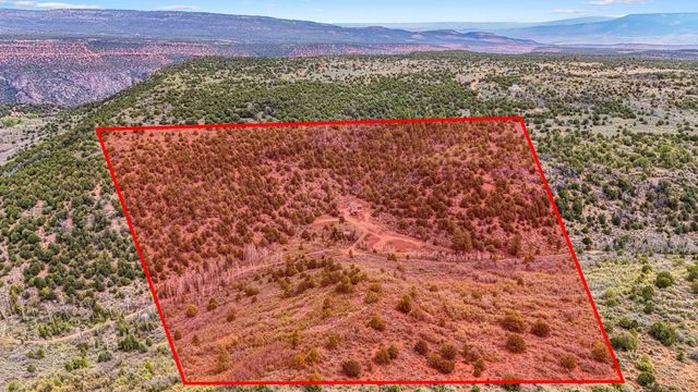 7465 Uncompahgre Divide Road, Whitewater, CO 81527