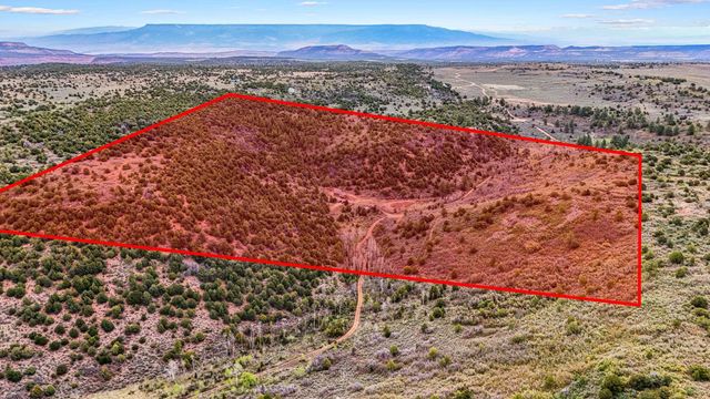 7465 Uncompahgre Divide Road, Whitewater, CO 81527