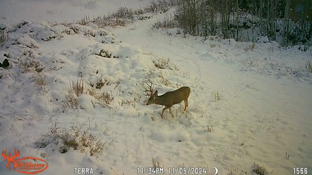 7465 Uncompahgre Divide Road, Whitewater, CO 81527