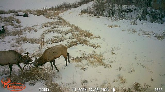 7465 Uncompahgre Divide Road, Whitewater, CO 81527