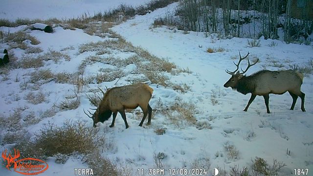 7465 Uncompahgre Divide Road, Whitewater, CO 81527