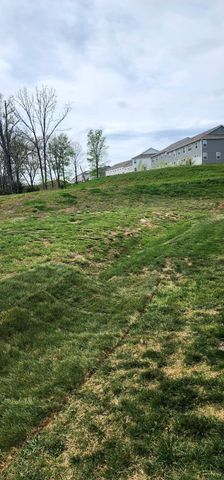 1054 Woodbridge Blvd, Lebanon, TN 37090