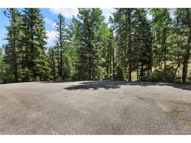734 Kutsu Ridge Rd, Florissant, CO 80816