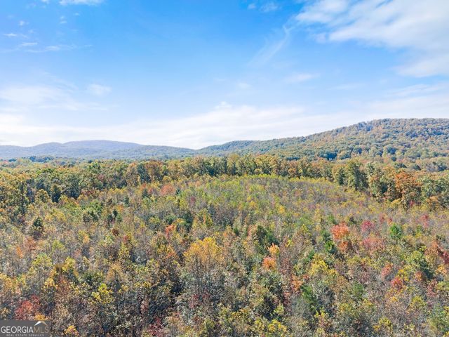 54 Totherow Road, Cleveland, GA 30528