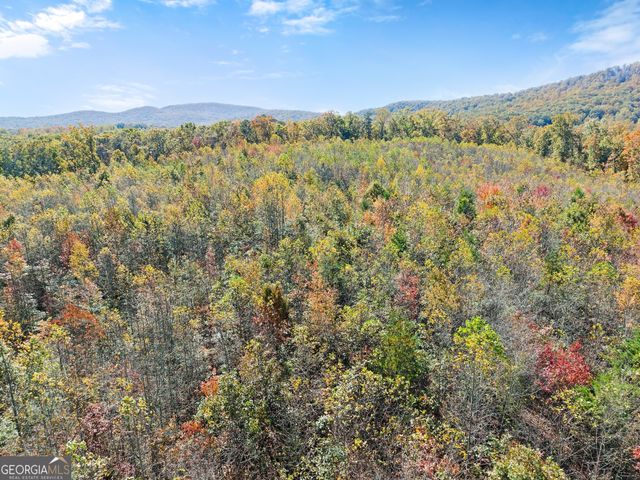 54 Totherow Road, Cleveland, GA 30528