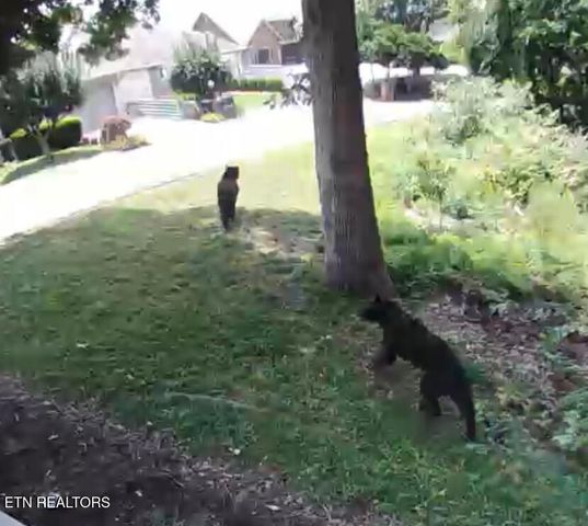 441 Maggie Mack Lane Lane, Sevierville, TN 37862