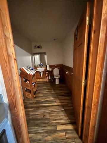 541 BLANCHE AVENUE, Umatilla, FL 32784