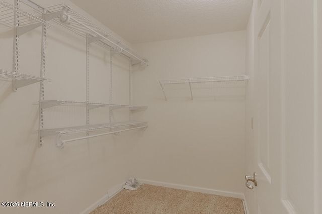 13293 CURRITUCK Drive N, Jacksonville, FL 32225