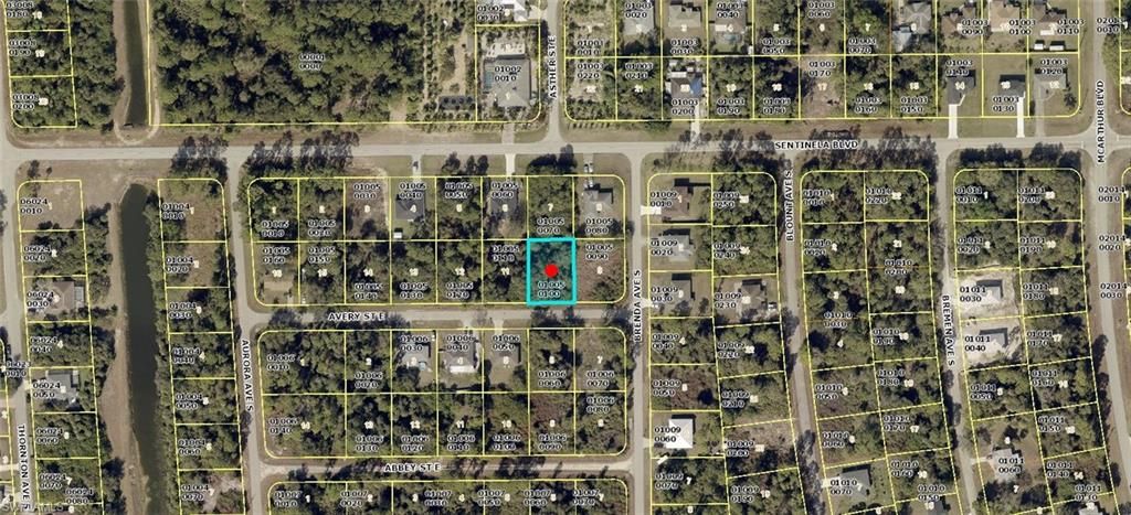 919 Avery ST, LEHIGH ACRES, FL 33974 — exterior