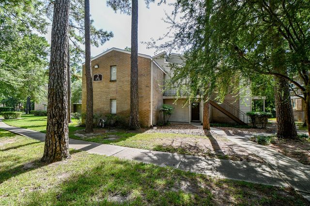 3500 Tangle Brush Drive 14, The Woodlands, TX 77381