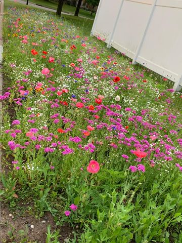 1406 Oconnell Drive, Hastings, MN 55033