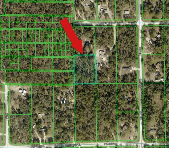 PEACEFUL AVENUE, Weeki Wachee, FL 34614