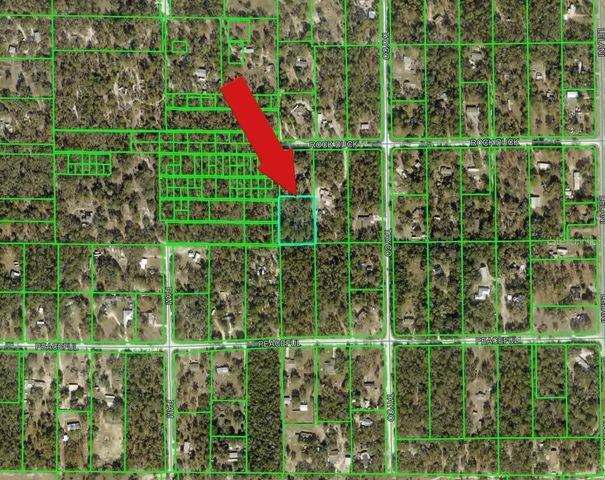 PEACEFUL AVENUE, Weeki Wachee, FL 34614