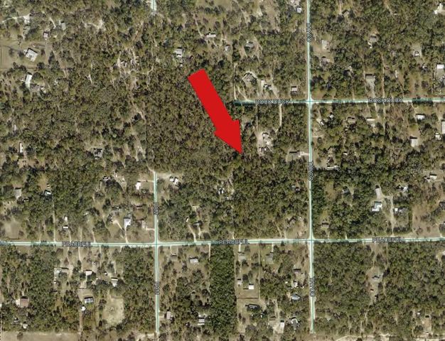 PEACEFUL AVENUE, Weeki Wachee, FL 34614