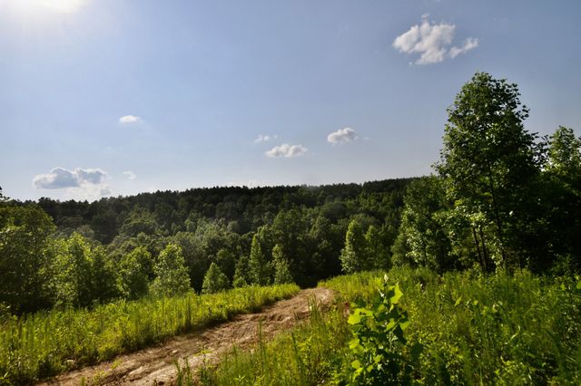 0 Allens Creek Road, Hohenwald, TN 38462