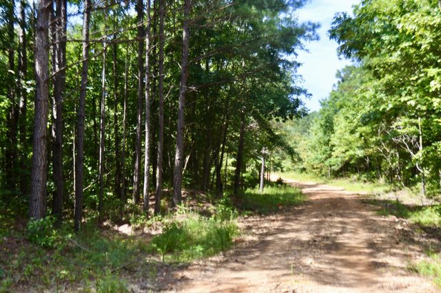 0 Allens Creek Road, Hohenwald, TN 38462