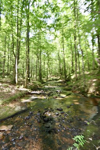 0 Allens Creek Road, Hohenwald, TN 38462