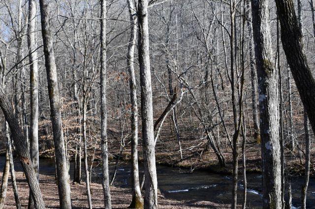 0 Allens Creek Road, Hohenwald, TN 38462