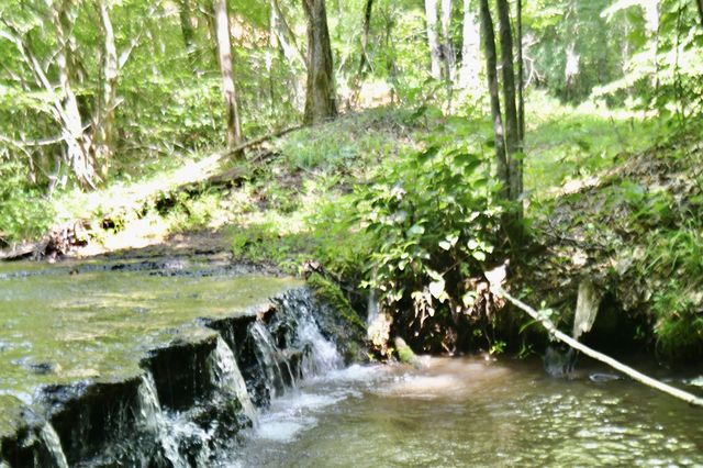 0 Allens Creek Road, Hohenwald, TN 38462