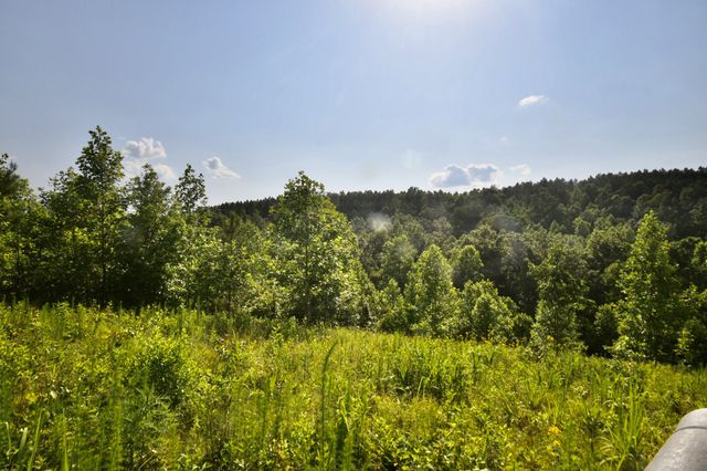 0 Allens Creek Road, Hohenwald, TN 38462