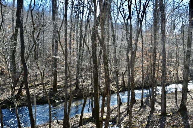 0 Allens Creek Road, Hohenwald, TN 38462
