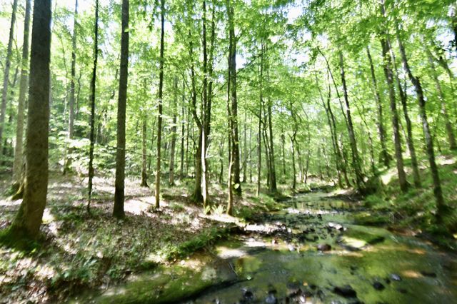 0 Allens Creek Road, Hohenwald, TN 38462