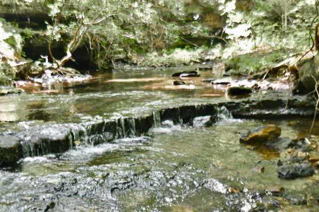 0 Allens Creek Road, Hohenwald, TN 38462