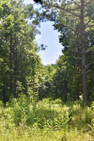 0 Allens Creek Road, Hohenwald, TN 38462