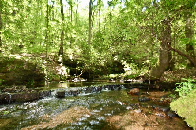 0 Allens Creek Road, Hohenwald, TN 38462