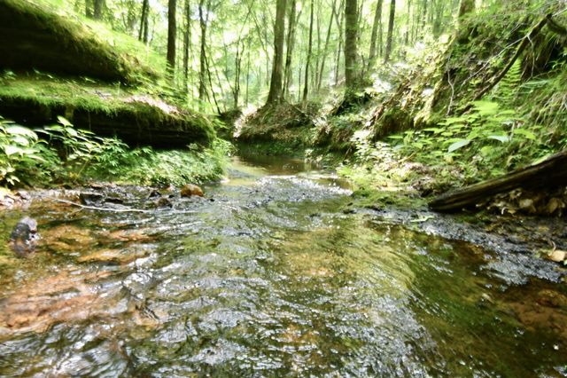 0 Allens Creek Road, Hohenwald, TN 38462