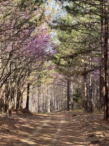 0 Allens Creek Road, Hohenwald, TN 38462