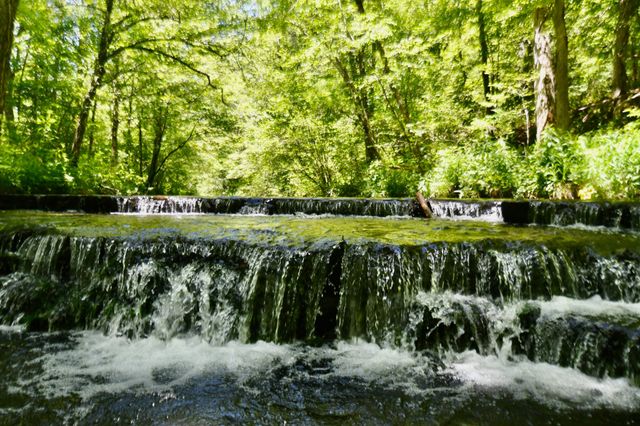 0 Allens Creek Road, Hohenwald, TN 38462