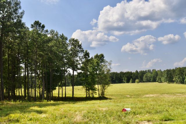 0 Allens Creek Road, Hohenwald, TN 38462