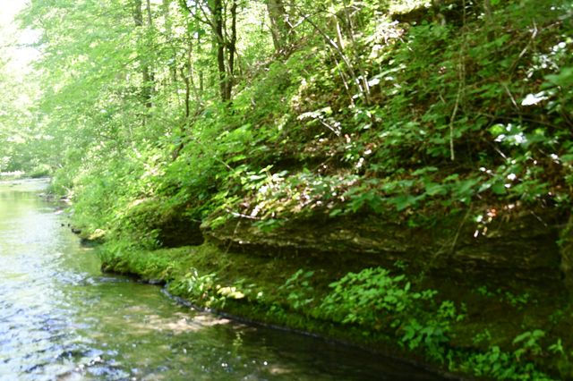 0 Allens Creek Road, Hohenwald, TN 38462