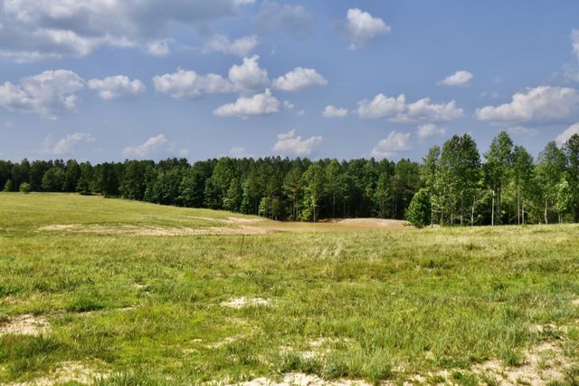 0 Allens Creek Road, Hohenwald, TN 38462