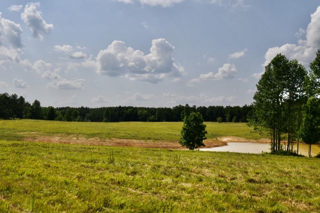 0 Allens Creek Road, Hohenwald, TN 38462