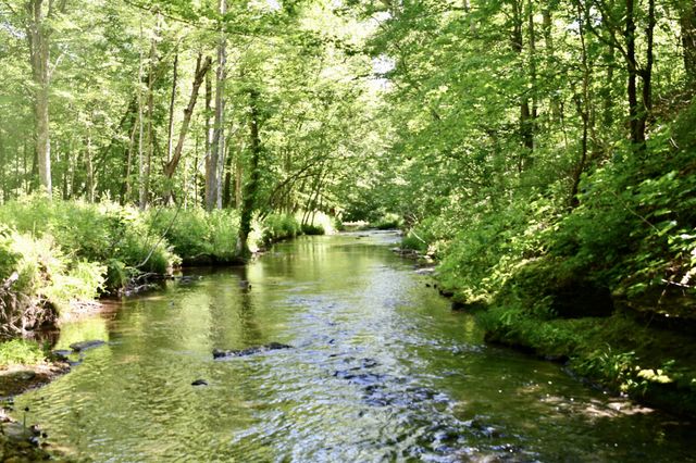 0 Allens Creek Road, Hohenwald, TN 38462