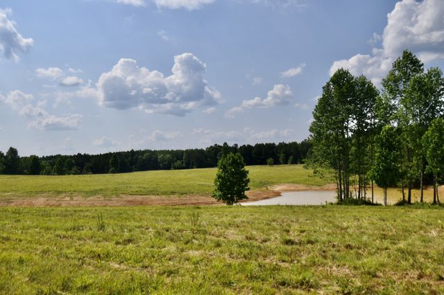 0 Allens Creek Road, Hohenwald, TN 38462