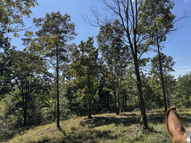0 Allens Creek Road, Hohenwald, TN 38462