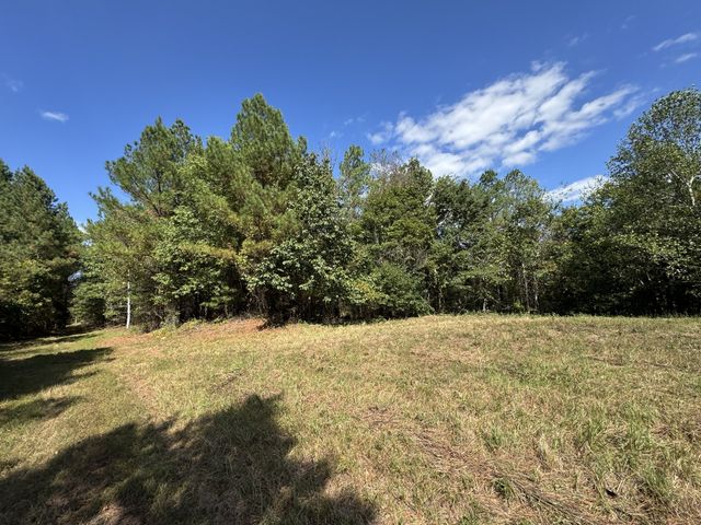0 Allens Creek Road, Hohenwald, TN 38462