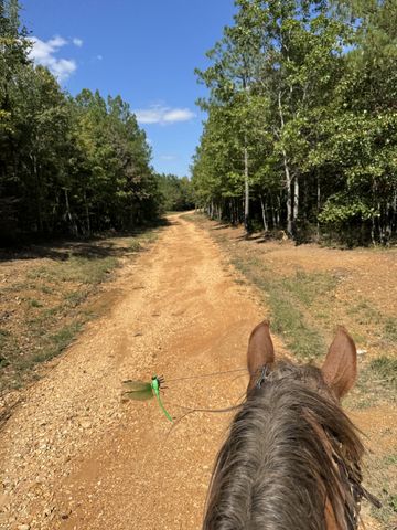 0 Allens Creek Road, Hohenwald, TN 38462