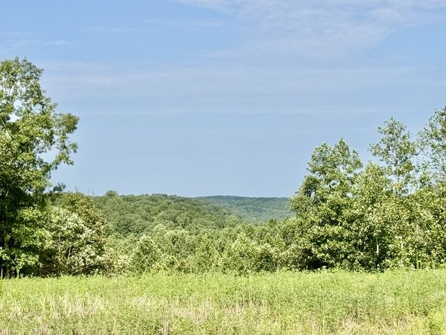 0 Allens Creek Road, Hohenwald, TN 38462