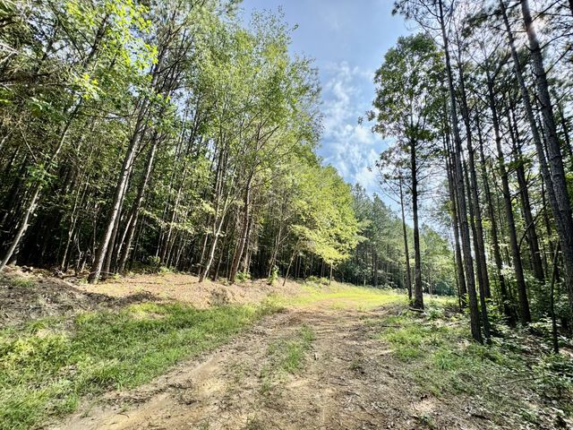 0 Allens Creek Road, Hohenwald, TN 38462