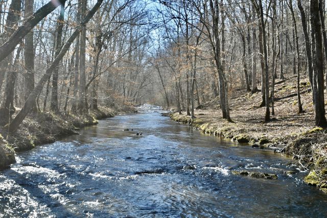 0 Allens Creek Road, Hohenwald, TN 38462