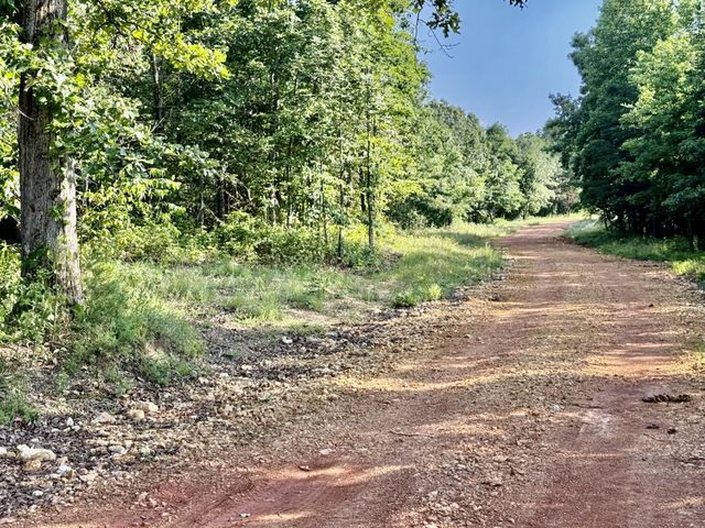 0 Allens Creek Road, Hohenwald, TN 38462