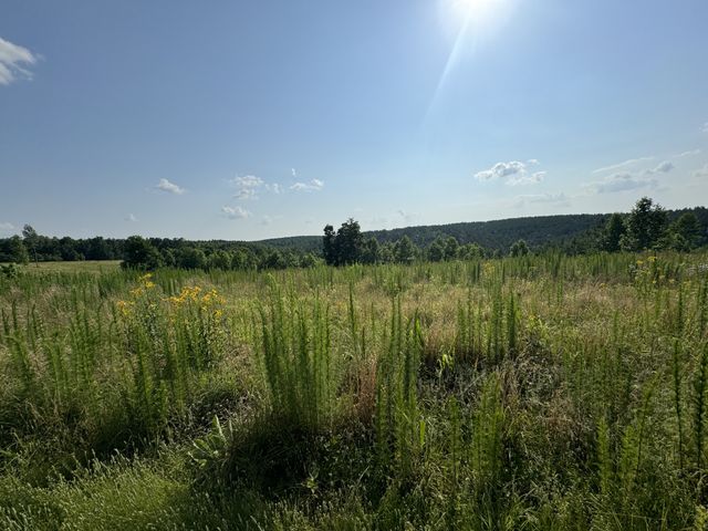 0 Allens Creek Road, Hohenwald, TN 38462