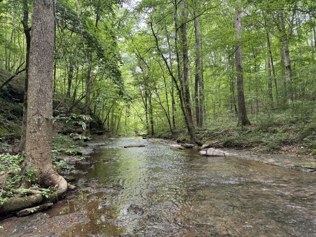 0 Allens Creek Road, Hohenwald, TN 38462