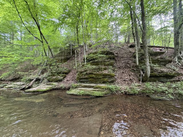 0 Allens Creek Road, Hohenwald, TN 38462