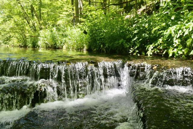 0 Allens Creek Road, Hohenwald, TN 38462