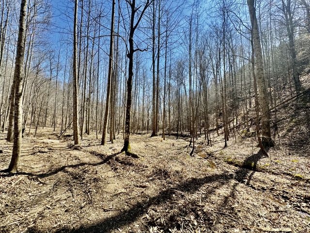 0 Allens Creek Road, Hohenwald, TN 38462